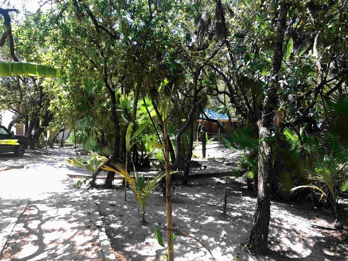 Kin Resort Lodge 玛雅湾 外观 照片